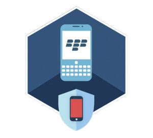 ElcomSoft Blackberry Backup Explorer