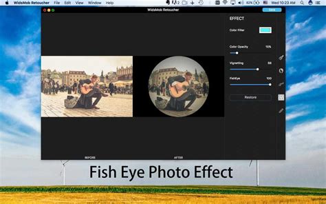 WidsMob Viewer 1.5.0.78 (2025)